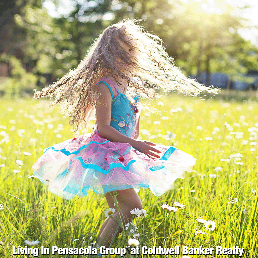 The Little Girl Twirled