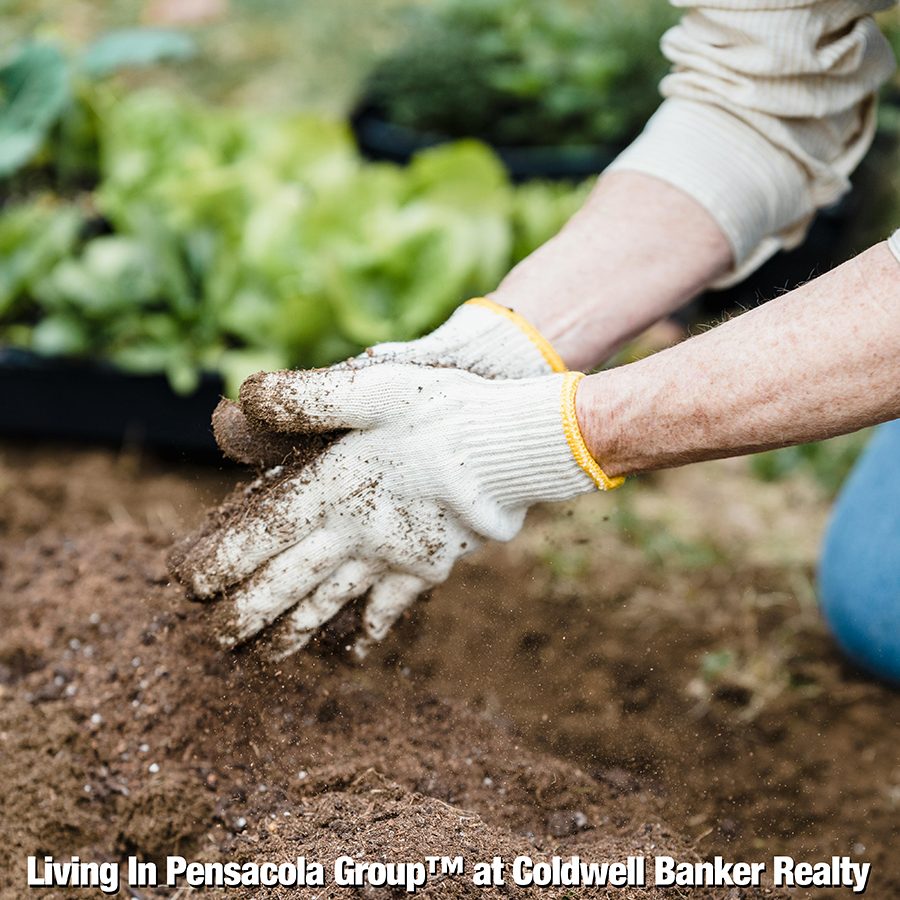 Six Different Cities